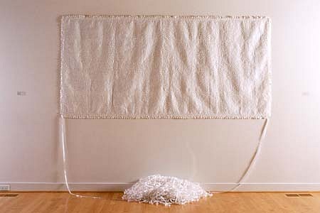 Maria Inocencio
Hairweave, 2001
paper, hair, glue, 84 x 106 x 36 inches