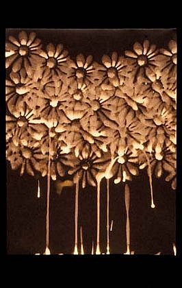 Laurie Darby
The Judgement, 2001
bleach on black paper, 9 x 12 inches