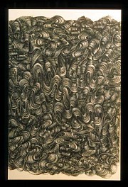 Paul Jansen Biography