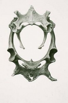 Gendron Jensen -&nbsp;Untitled