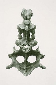 Artist:&nbsp;Gendron Jensen