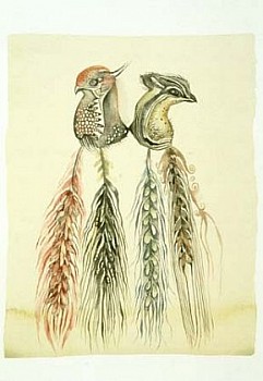 Sue Johnson - The Alternate Encyclopedia