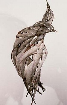 Carol Hepper - Beekeeper