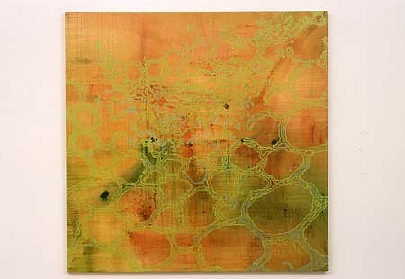 Carter Hodgkin
orange43_diatom, 2001
dye, oil enamel, acrylic on canvas, 48 x 48 inches