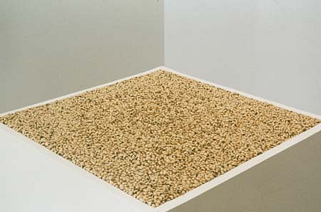 Fred Holland
Commune Labyrinth, 2003
blackeye peas, pins, wood, 22 x 22 x 36 inches