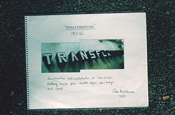 Peter Hutchinson - Study of "Transformation"