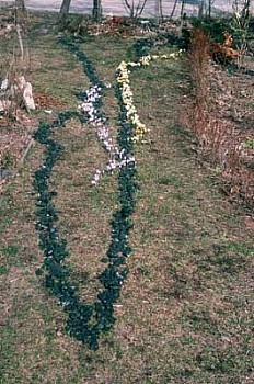 Peter Hutchinson - Energy/ Polarity Crocus Thrown Rope