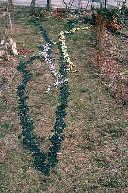 Peter Hutchinson
Energy/ Polarity Crocus Thrown Rope, 1989
anthracite, crocus on grass, 240 x 48 inches
