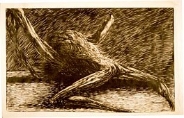 Wieslaw Haladaj Biography