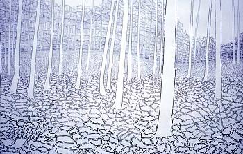 David Harker - Woodland I