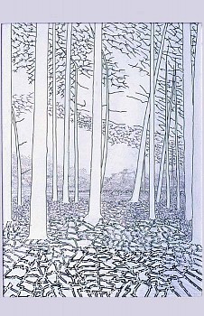 David Harker - Park I