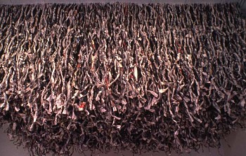 Maren Hassinger - Rainforest