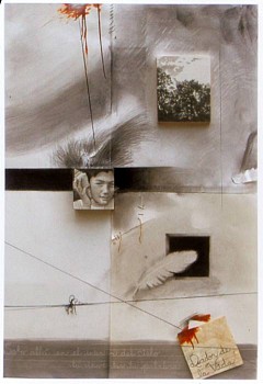 Antonia Guerrero - The Conch Shell