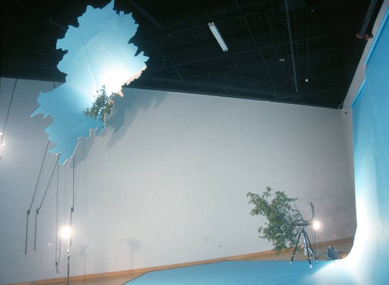 Cameron Gainer
IN/OUT, 2008
smoke machine, mirror, paper, tree limb, photo lights, nylon, variable dimensions
detail