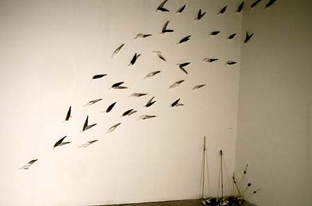 Sheila Ghidini
Birds that Can't Fly, 1995
28' x 20'
mixed-media installation