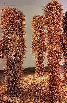 Ronald Gonzalez - Crosses