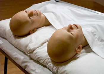 Ken Feingold -&nbsp;You