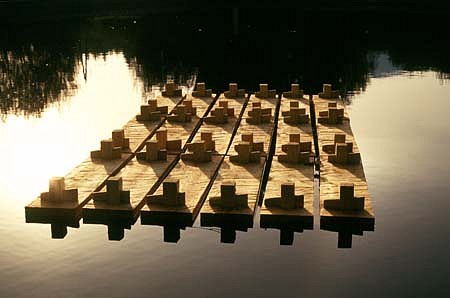 Va'clav Fiala
The Raft