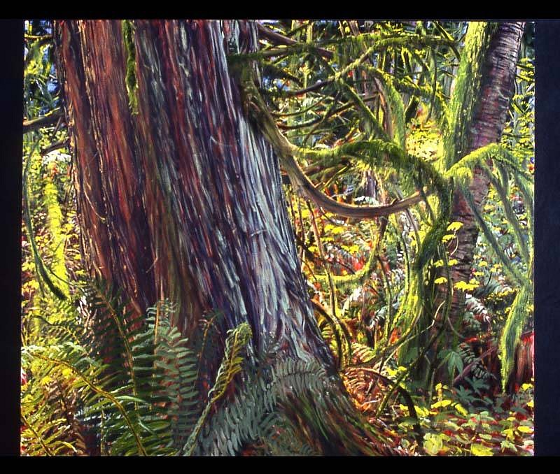 Kathleen Fruge Brown
Cedar and Wild Cherry, 2002
oil on canvas, 42 x 48 inches