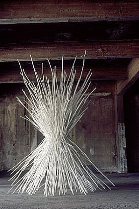 Shayne Dark
Untitled