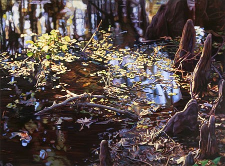Adrian Deckbar
Cypress Reflections, 2006
oil on canvas, 40 x 54 inches