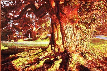 Adrian Deckbar
Louisiana Oak, 2003
pastel, 36 x 48 inches