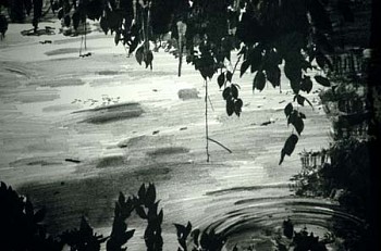 Sandra De Sando - Light, Darkness, Higan Cherry #2