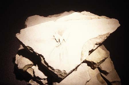 Steven Dolbin
Relic of Memory, 2003
sand, resin, acrylic stain, 42 x 45 x 42 inches