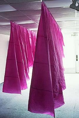 Beatrice Drysdale
Purposeful, purposeless, 2004
purple tissue paper, glue, 156 x 84 x 24 inches