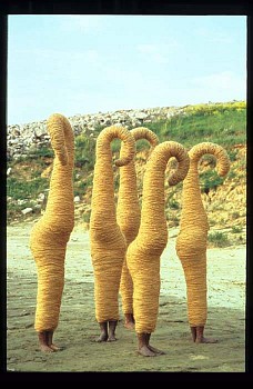 Anindita Dutta -&nbsp;Trapped