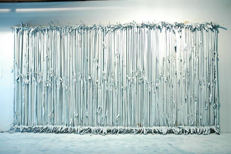 Gregory Coates
How Do You Like Me Now?, 2005
rubber, pigment, 168 x 240 x 12 inches