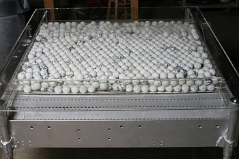 Barbara Cohen -&nbsp;Moving On