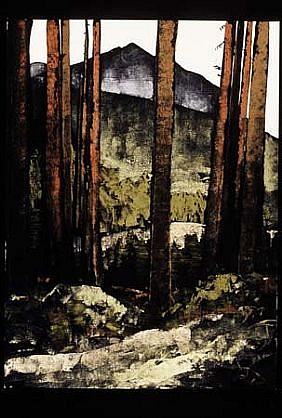 Robert Connell
Mt. Washington in the Olympic National Forest, 2004
sumi ink and gouache on paper, 30 x 22 inches