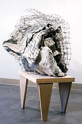 Katherine Coons
Put to Bed, 1994
plaster, cloth, wire, wood, 37 x 25 x 25 inches