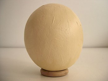 Eduardo Costa - Painting of a Fresh Ostrich Egg
