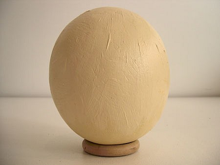 Eduardo Costa
Painting of a Fresh Ostrich Egg, 2004
dry acrylic paint shell with fresh acrylic yolk and egg white inside, 6 x 5 1/2 x 5 1/2 inches