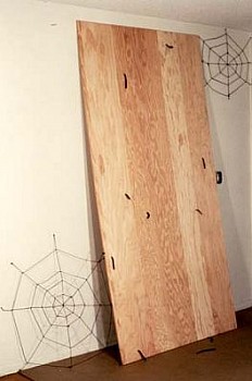 Michael Coughlan - Still Life