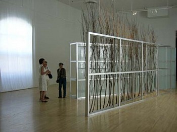 Artist: Linda Covit