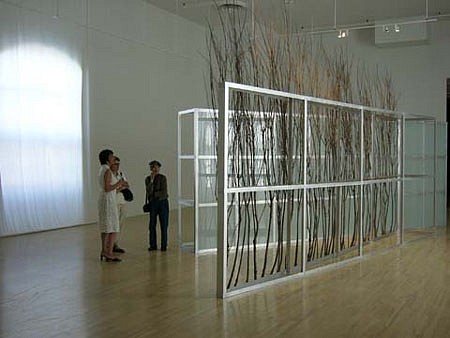 Linda Covit
Willow / Light, 2004