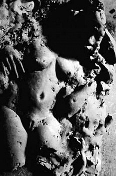 Virginia Cox -&nbsp;Dancing Down to Rio by the Light of the Moon