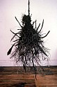 Petah Coyne, Untitled