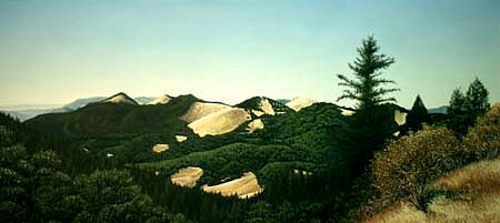 Thomas Creed
Northern Sonoma, 1996
oil, 66 x 36 inches