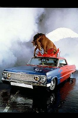 James Croak
Pegasus, 1982
228 x 132 x 108 inches