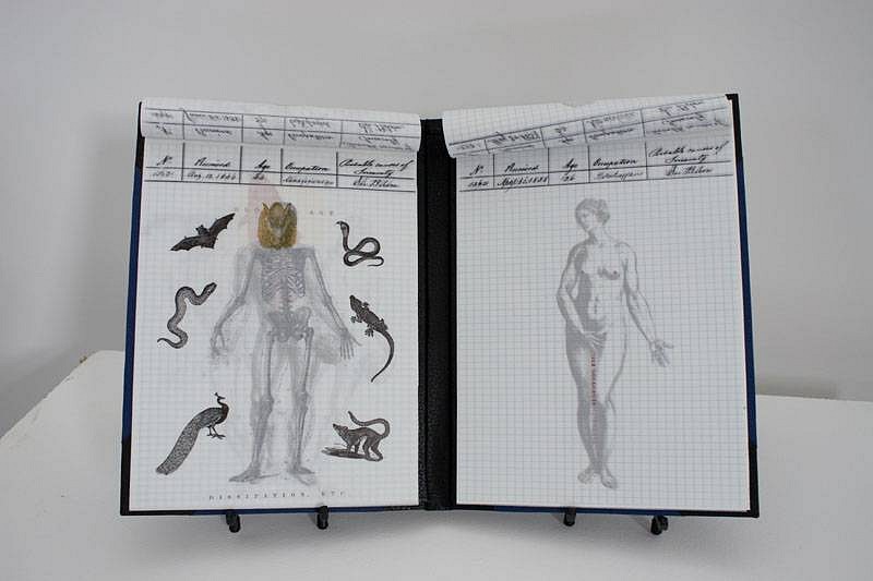 Maureen Cummins
Anatomy of Insanity, 2007
ink on tracing paper, bound in paper and leather, 10 x 8 inches