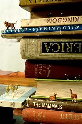 Bill Burns
How to Help Animals Escape from Natural History, 2000
42 x 120 x 21 inches
Detail with lions, books