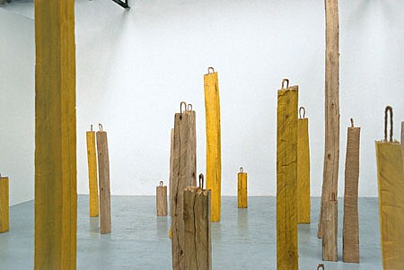 Benedikt Birckenbach
Forrest, 2002
maplewood, color, 110 x 415 cm