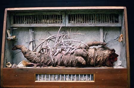 Joyce Blunk
Local News, 1989
masonite, paint, paper, metal, palm tree parts, bones, wood, 26 x 17 x 7 inches