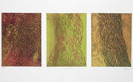 Cynthia Back
Trunks #1, 2003
etching, aquatint, deep blue, 8 x 19 1/2 inches