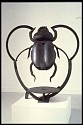Jane Ackroyd, Dusk Scarab Beetle
1993