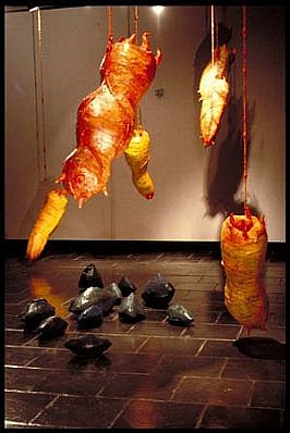 Anne Alexander
Tropical Infestation, 1989
mixed media installation